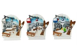 Magnet Winter Skigebiet, 3 assortiert