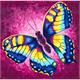 Malen nach Zahlen Bild-Set 30x30cm "Schmetterling" Rachel Froud