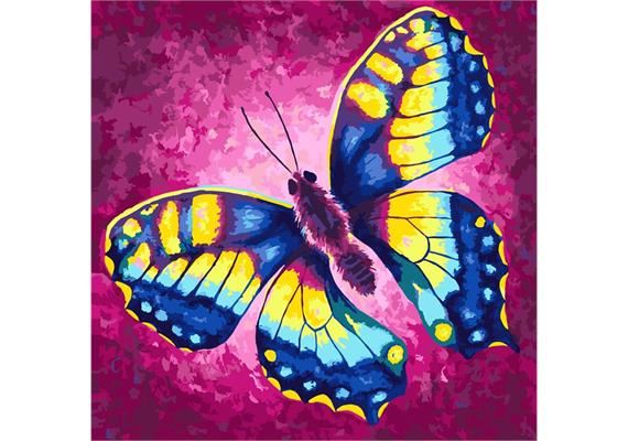 Malen nach Zahlen Bild-Set 30x30cm "Schmetterling" Rachel Froud