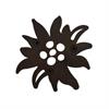 Metall Topfuntersetzer "Edelweiss" 18,5x18,5cm