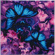 Papillons bleu-violet, 30x30cm Crystal Art Kit