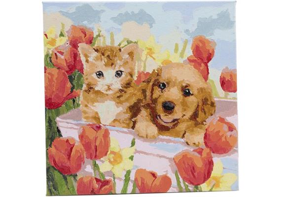 Peinture par numéros set d'images 30x30cm, ""Chien&Chat dans le champ de tulipes"
