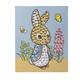 Peter Rabbit Crystal Art Junior 20x25cm