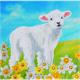 Petit agneau, carte 18x18cm Crystal Art