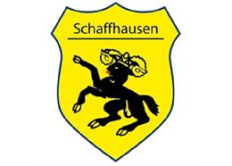Pin Wappen Schaffhausen