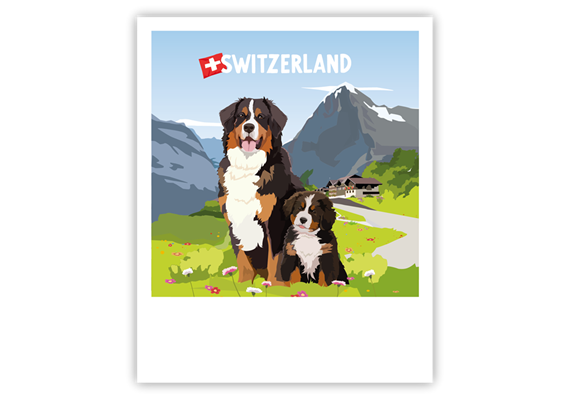 Postkarte Berner Sennenhund - Switzerland
