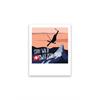 Postkarte Stay Wild - Switzerland