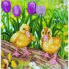 Poussins de printemps, carte 18x18cm Crystal Art