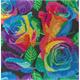 Roses arc-en-ciel, image 30x30cm Crystal Art Kit