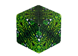 Shashibo Cube Forest