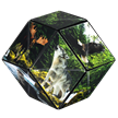 Shashibo Cube Forest | Bild 3