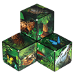 Shashibo Cube Jungle | Bild 4