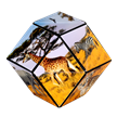 Shashibo Cube Savanna | Bild 3