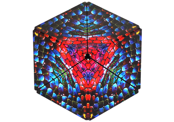 Shashibo Cube The Chameleon - by Artist Jumbie