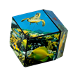 Shashibo Cube Undersea | Bild 5