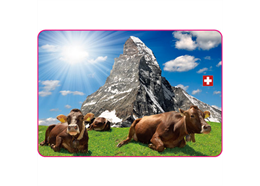 SLA Bild Matterhorn/Kühe
