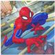 Spiderman, carte 18x18cm Crystal Art