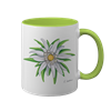 Tasse Edelweiss, hellgrün innen, 330ml