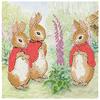 The Flopsy Bunnies, carte 18x18cm Crystal Art