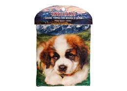Thermokissen mit Kirschkern gefüllt, Bernhardiner Hund, mehrfarbig, 20 x 15 cm