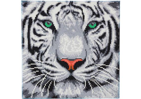 Tigre blanc, 30x30cm Crystal Art Kit