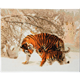 Tigres d'hiver, 40x50cm Crystal Art Kit
