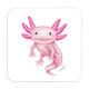 Untersetzer Axolotl, 9x9cm