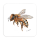Untersetzer Biene, 9x9cm