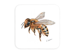 Untersetzer Biene, 9x9cm