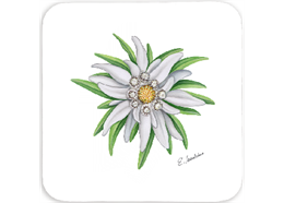 Untersetzer Edelweiss, 9 x 9cm