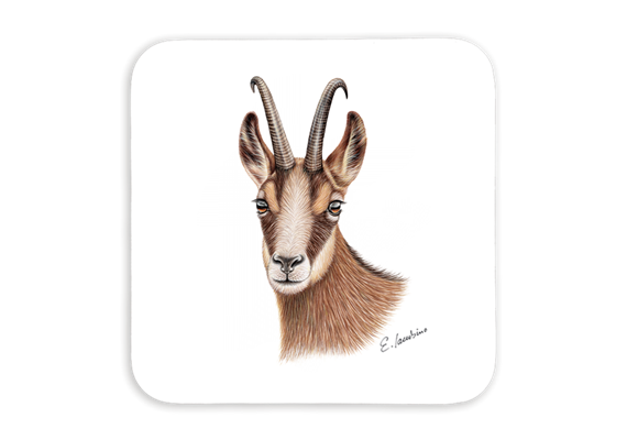 Untersetzer Gams, 9x9cm