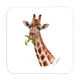 Untersetzer Giraffe, 9x9cm