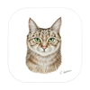 Untersetzer Katze, 9x9cm