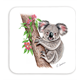 Untersetzer Koala, 9x9cm
