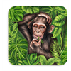 Untersetzer Wild Affe, 9x9cm