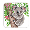Untersetzer Wild Koala, 9x9cm