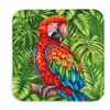 Untersetzer Wild, Papagei, 9x9cm