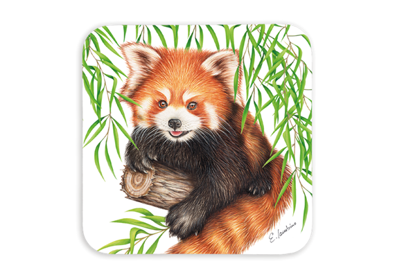 Untersetzer Wild Roter Panda, 9x9cm