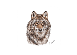 Untersetzer Wolf, 9 x 9cm