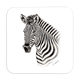 Untersetzer Zebra, 9x9cm