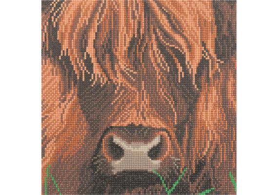 Vache des Highlands, 30x30cm Crystal Art Kit
