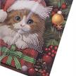 Weihnachtskätzchen, 18x18cm Crystal Art Card | Bild 3